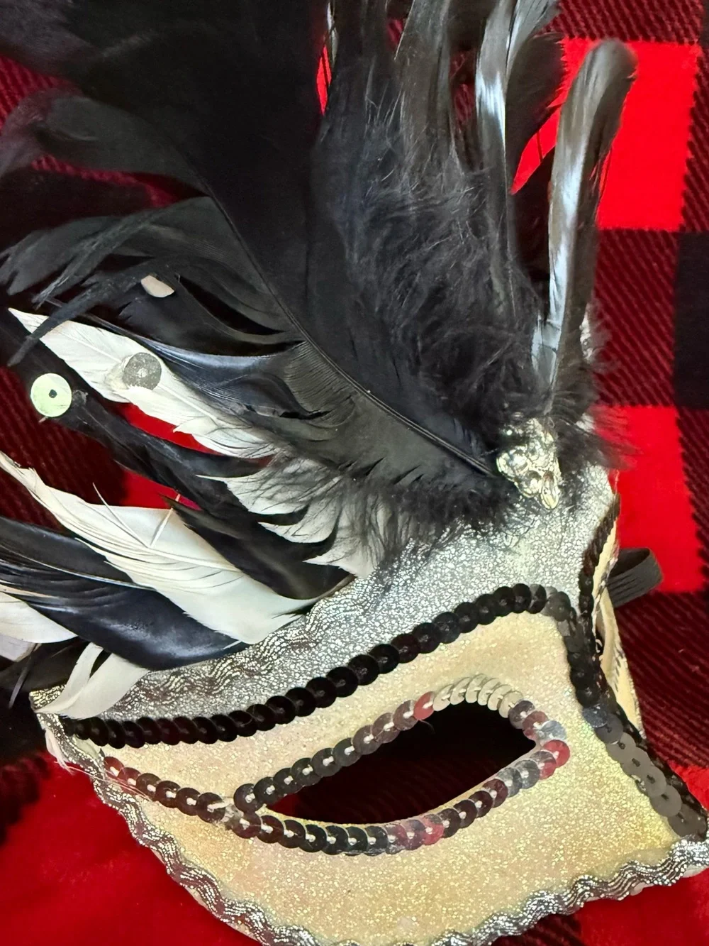 Black Feathered Masquerade Mask with Ivory Accents